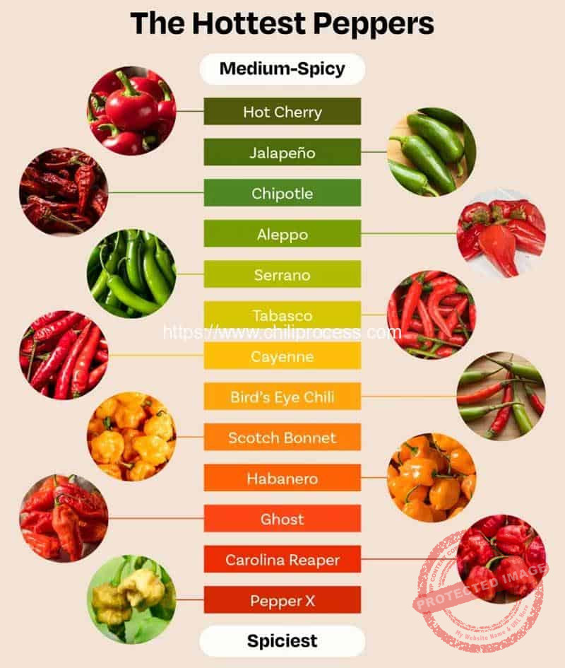 The 13 Spiciest Peppers Ranked from Hotter to Hottest The-13-Spiciest-Peppers-Ranked-from-Hotter-to-Hottest